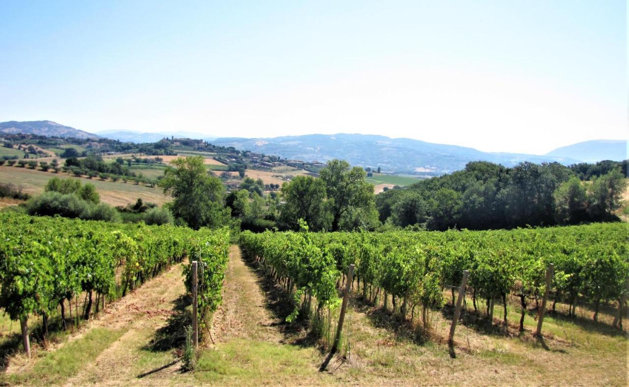 Apartamento Residenza Storica Con Vista Panoramica Perugia Exterior foto